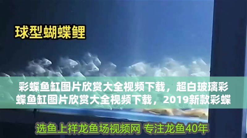 彩蝶魚缸圖片欣賞大全視頻下載，超白玻璃彩蝶魚缸圖片欣賞大全視頻下載，2019新款彩蝶魚缸圖片欣賞大全視頻下載