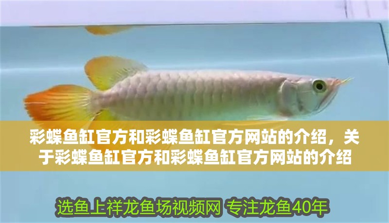 彩蝶魚缸官方和彩蝶魚缸官方網(wǎng)站的介紹，關(guān)于彩蝶魚缸官方和彩蝶魚缸官方網(wǎng)站的介紹