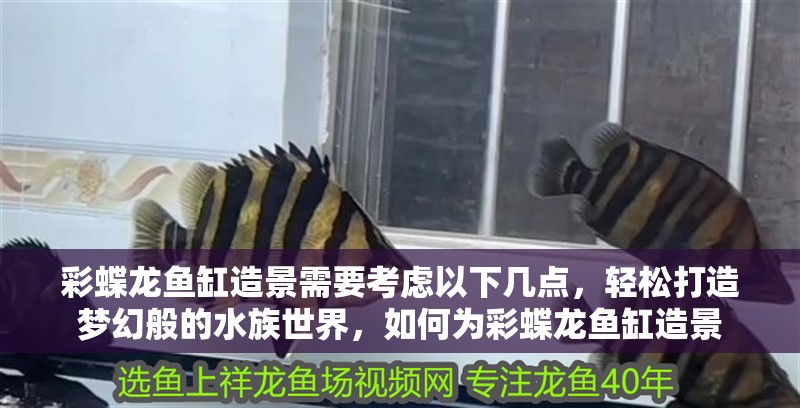 彩蝶龍魚缸造景需要考慮以下幾點，輕松打造夢幻般的水族世界，如何為彩蝶龍魚缸造景 彩蝶龍魚缸造景需要考慮以下幾點，輕松打造夢幻般的水族世界，如何為彩蝶龍魚缸造景 觀賞魚百科 第1張