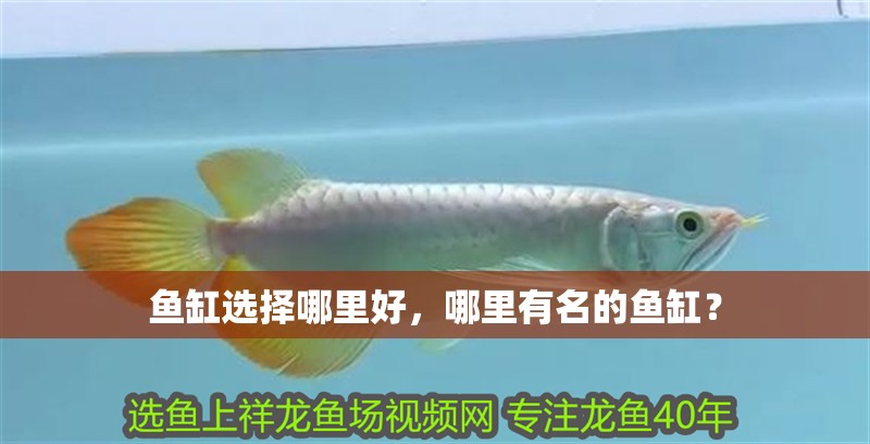 魚缸選擇哪里好，哪里有名的魚缸？
