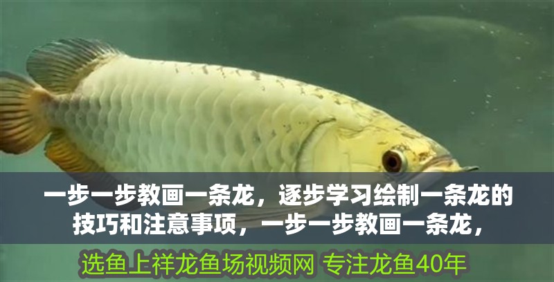 一步一步教畫一條龍，逐步學習繪制一條龍的技巧和注意事項，一步一步教畫一條龍，