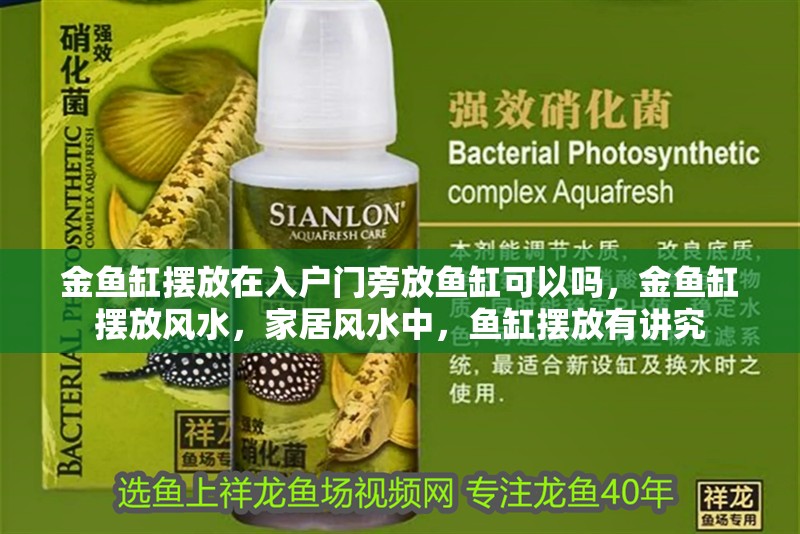 金魚缸擺放在入戶門旁放魚缸可以嗎，金魚缸擺放風水，家居風水中，魚缸擺放有講究