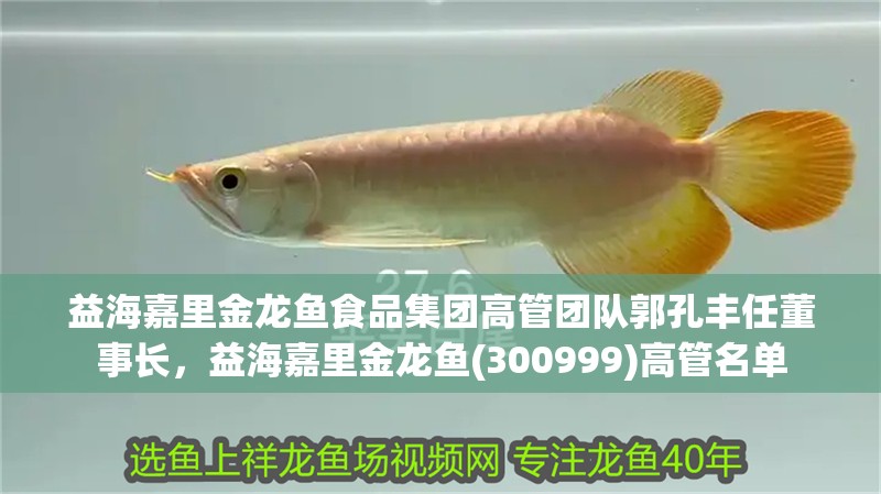 益海嘉里金龍魚食品集團高管團隊郭孔豐任董事長，益海嘉里金龍魚(300999)高管名單 益海嘉里金龍魚食品集團高管團隊郭孔豐任董事長，益海嘉里金龍魚(300999)高管名單 觀賞魚百科 第3張