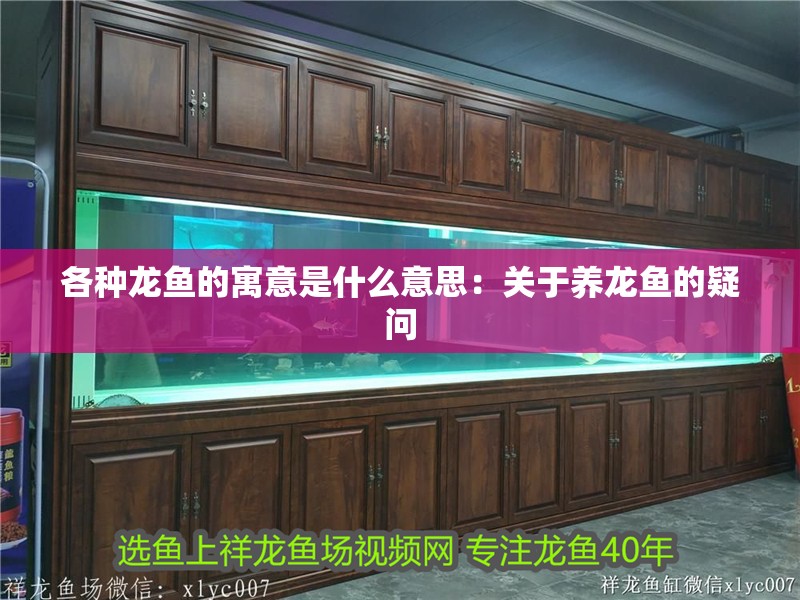 各種龍魚的寓意是什么意思：關于養龍魚的疑問