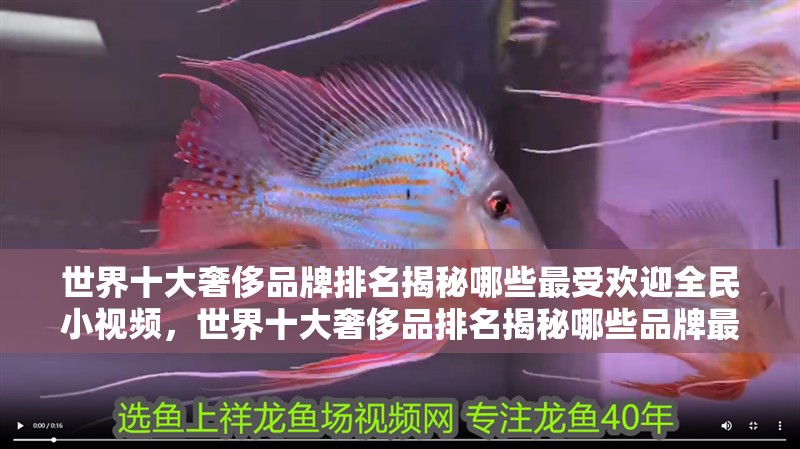 世界十大奢侈品牌排名揭秘哪些最受歡迎全民小視頻，世界十大奢侈品排名揭秘哪些品牌最受歡迎全民小視頻