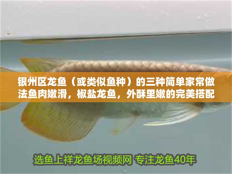 銀州區(qū)龍魚（或類似魚種）的三種簡單家常做法魚肉嫩滑，椒鹽龍魚，外酥里嫩的完美搭配