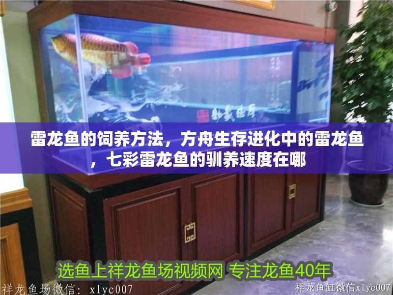 雷龍魚的飼養(yǎng)方法，方舟生存進化中的雷龍魚，七彩雷龍魚的馴養(yǎng)速度在哪