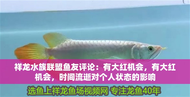 祥龍水族聯(lián)盟魚友評(píng)論：有大紅機(jī)會(huì)，有大紅機(jī)會(huì)，時(shí)間流逝對(duì)個(gè)人狀態(tài)的影響