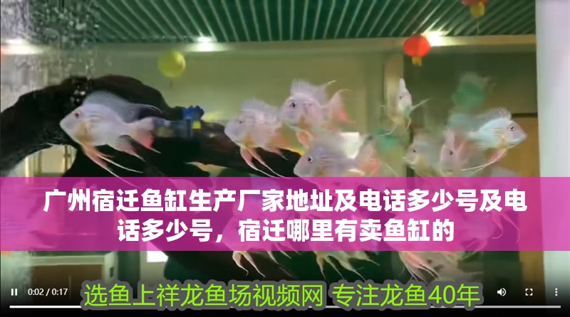 廣州宿遷魚缸生產廠家地址及電話多少號及電話多少號，宿遷哪里有賣魚缸的