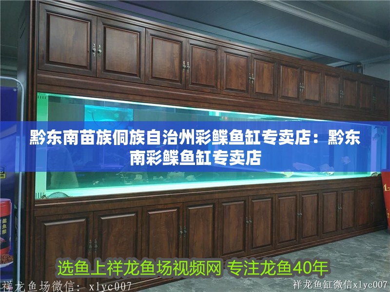 黔東南苗族侗族自治州彩鰈魚缸專賣店：黔東南彩鰈魚缸專賣店 黔東南苗族侗族自治州彩鰈魚缸專賣店：黔東南彩鰈魚缸專賣店 觀賞魚百科