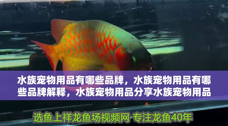 水族寵物用品有哪些品牌，水族寵物用品有哪些品牌解釋，水族寵物用品分享水族寵物用品有哪些品牌有哪些品牌