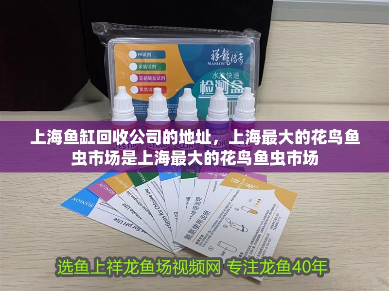 <strong><mark>上海</mark></strong>魚(yú)缸回收公司的地址，<strong><mark>上海</mark></strong>最大的花鳥(niǎo)魚(yú)蟲(chóng)市場(chǎng)是<strong><mark>上海</mark></strong>最大的花鳥(niǎo)魚(yú)蟲(chóng)市場(chǎng)