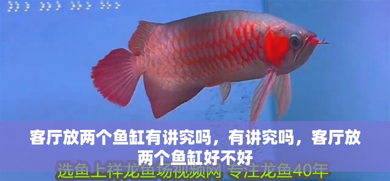 客廳放兩個魚缸有講究嗎，有講究嗎，客廳放兩個魚缸好不好