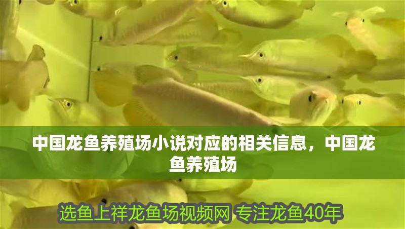 中國龍魚養殖場小說對應的相關信息，中國龍魚養殖場