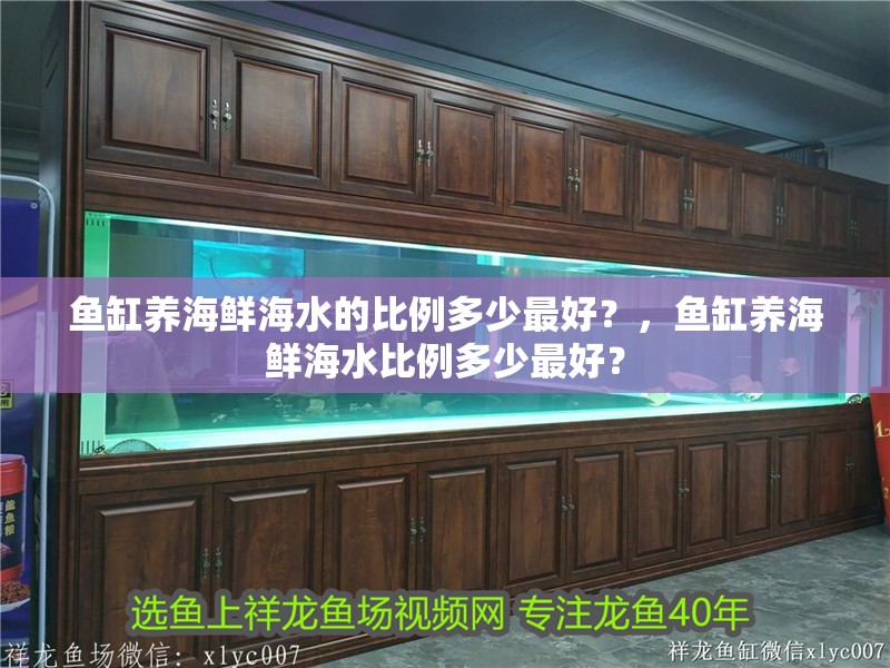 魚缸養海鮮海水的比例多少最好？，魚缸養海鮮海水比例多少最好？