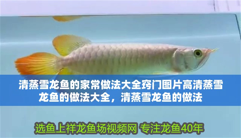 清蒸雪龍魚的家常做法大全竅門圖片高清蒸雪龍魚的做法大全，清蒸雪龍魚的做法 清蒸雪龍魚的家常做法大全竅門圖片高清蒸雪龍魚的做法大全，清蒸雪龍魚的做法 觀賞魚百科 第2張