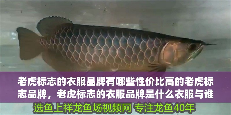 老虎標志的衣服品牌有哪些性價比高的老虎標志品牌，老虎標志的衣服品牌是什么衣服與誰漫旅虎頭logo的衣服牌子有哪些