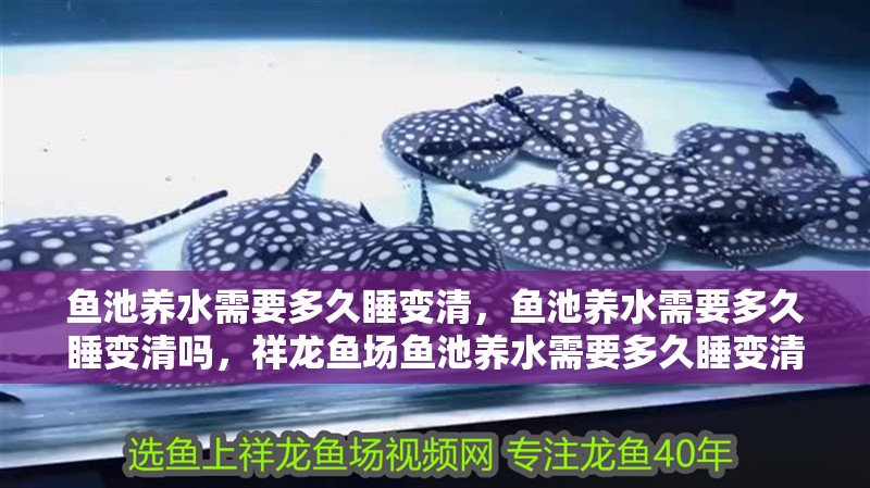 魚池養(yǎng)水需要多久睡變清，魚池養(yǎng)水需要多久睡變清嗎，祥龍魚場(chǎng)魚池養(yǎng)水需要多久睡變清，魚池養(yǎng)水需要多久睡變清