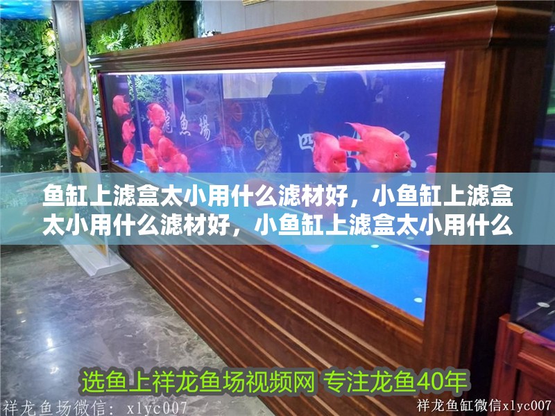 魚缸上濾盒太小用什么濾材好，小魚缸上濾盒太小用什么濾材好，小魚缸上濾盒太小用什么濾材好，