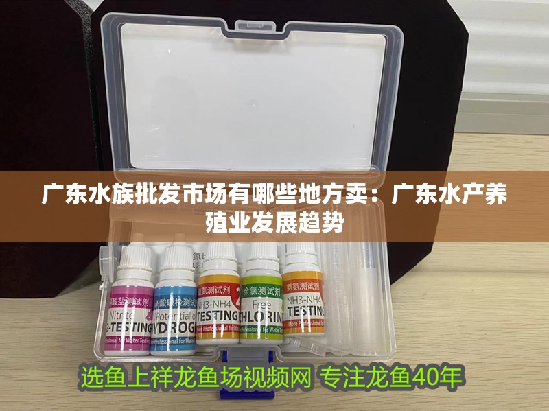 廣東水族批發(fā)市場(chǎng)有哪些地方賣：廣東水產(chǎn)養(yǎng)殖業(yè)發(fā)展趨勢(shì)