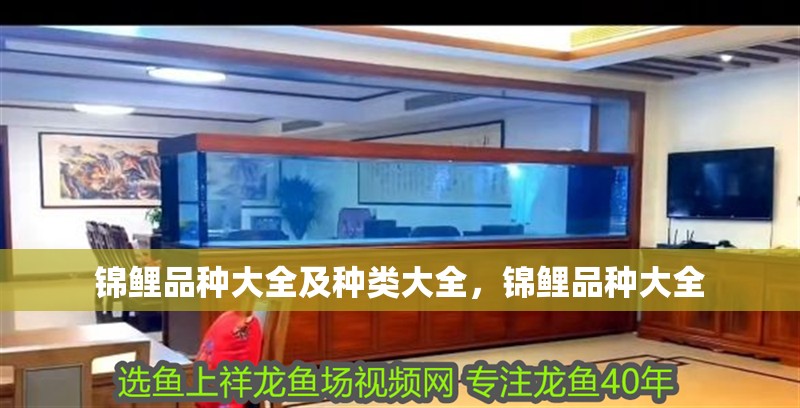 錦鯉品種大全及種類大全，錦鯉品種大全