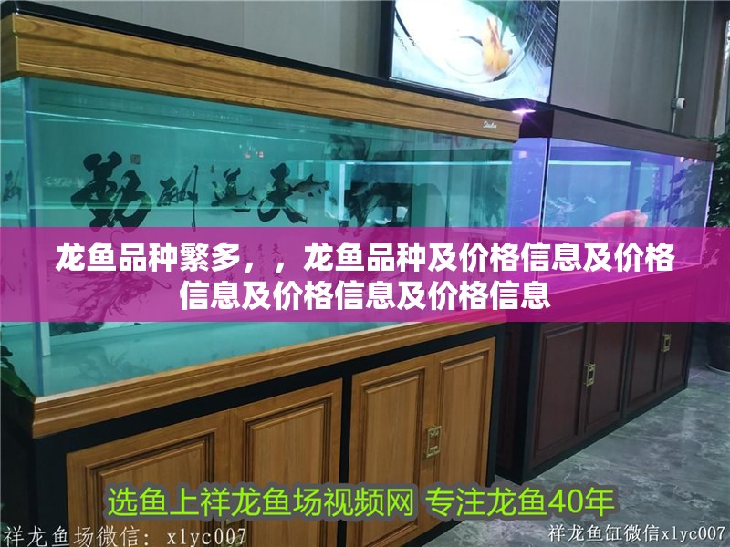 龍魚品種繁多，，龍魚品種及價格信息及價格信息及價格信息及價格信息
