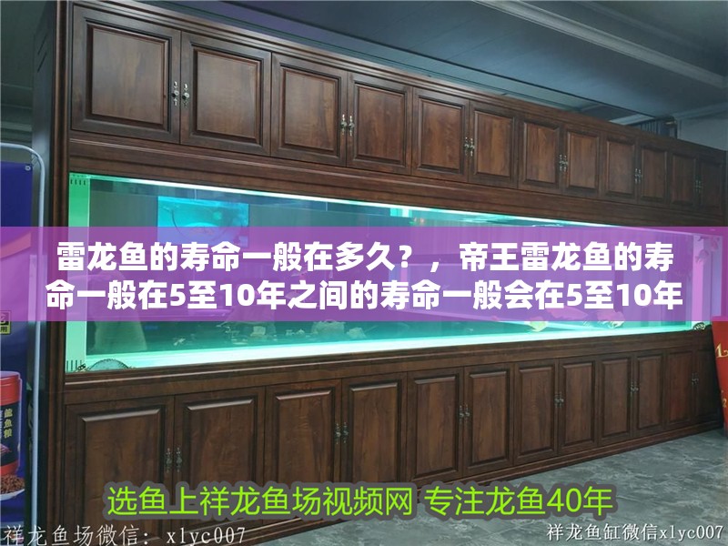 雷龍魚的壽命一般在多久？，帝王雷龍魚的壽命一般在5至10年之間的壽命一般會在5至10年之間
