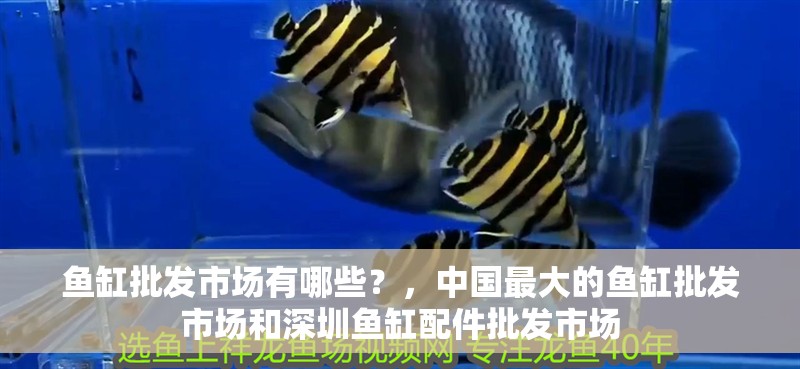 魚缸批發市場有哪些？，中國最大的魚缸批發市場和<strong><mark>深圳</mark></strong>魚缸配件批發市場