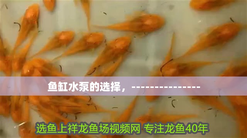 魚缸水泵的選擇，---------------