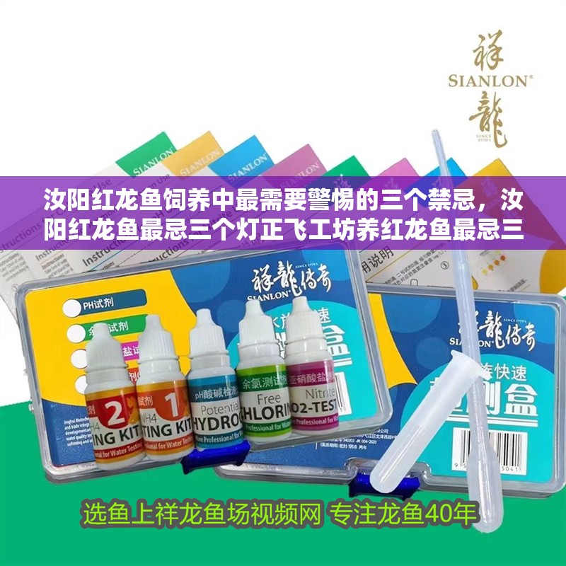 汝陽紅龍魚飼養中最需要警惕的三個禁忌，汝陽紅龍魚最忌三個燈正飛工坊養紅龍魚最忌三個燈正飛工坊