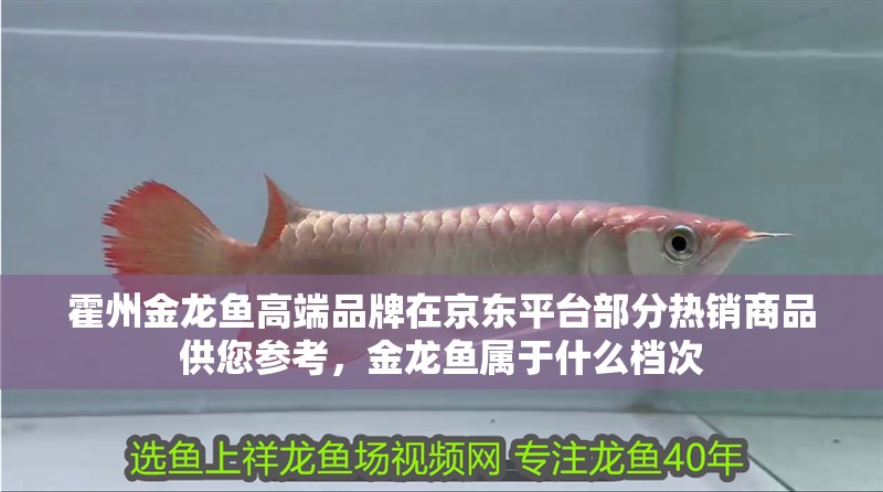 霍州金龍魚高端品牌在京東平臺部分熱銷商品供您參考，金龍魚屬于什么檔次 霍州金龍魚高端品牌在京東平臺部分熱銷商品供您參考，金龍魚屬于什么檔次 觀賞魚百科 第10張