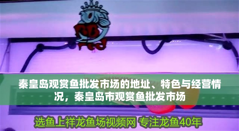 秦皇島觀賞魚批發(fā)市場的地址、特色與經(jīng)營情況，秦皇島市觀賞魚批發(fā)市場 秦皇島觀賞魚批發(fā)市場的地址、特色與經(jīng)營情況，秦皇島市觀賞魚批發(fā)市場 觀賞魚百科