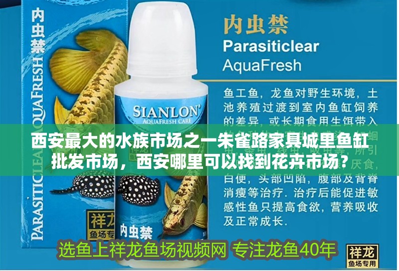 西安最大的水族市場之一朱雀路家具城里魚缸批發(fā)市場，西安哪里可以找到花卉市場？