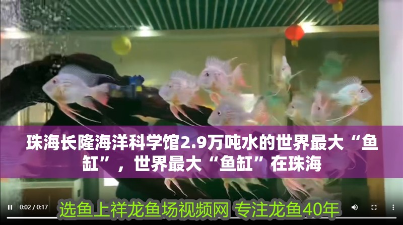 珠海長隆海洋科學館2.9萬噸水的世界最大“魚缸”，世界最大“魚缸”在珠海