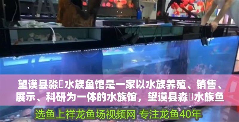 望謨縣淼鱻水族魚館是一家以水族養(yǎng)殖、銷售、展示、科研為一體的水族館，望謨縣淼鱻水族魚館