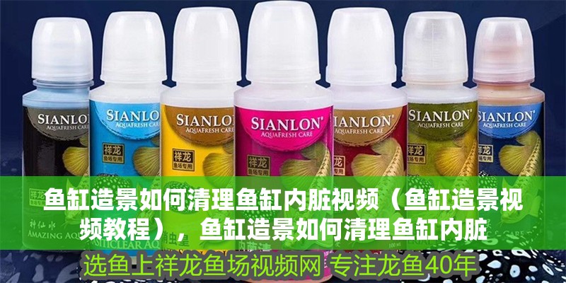 魚缸造景如何清理魚缸內(nèi)臟視頻（魚缸造景視頻教程），魚缸造景如何清理魚缸內(nèi)臟