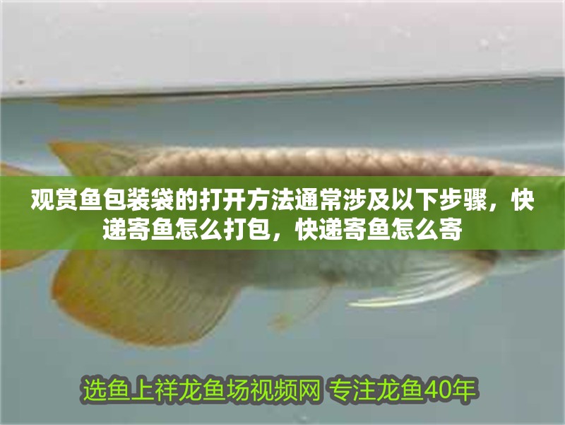 觀賞魚包裝袋的打開方法通常涉及以下步驟，快遞寄魚怎么打包，快遞寄魚怎么寄
