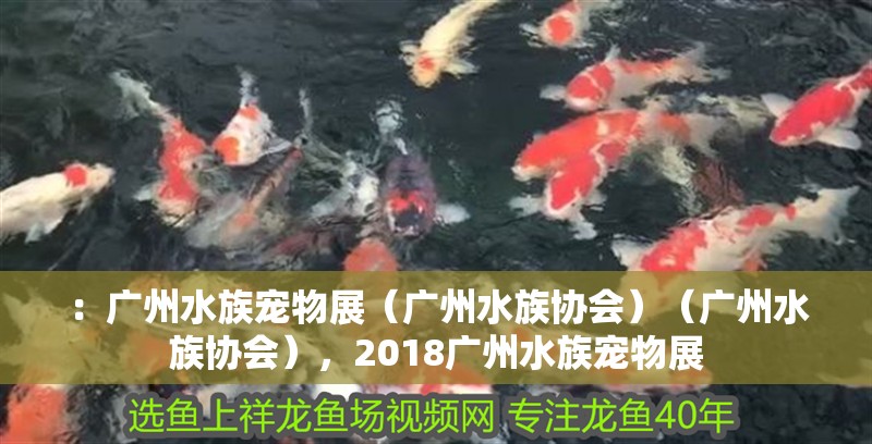 ：廣州水族寵物展（廣州水族協會）（廣州水族協會），2018廣州水族寵物展