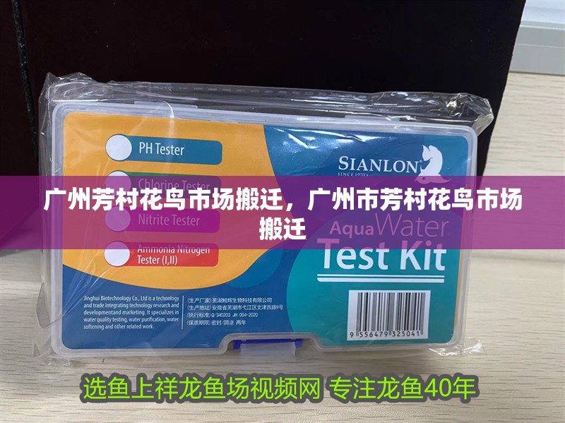 廣州芳村花鳥市場搬遷，廣州市芳村花鳥市場搬遷