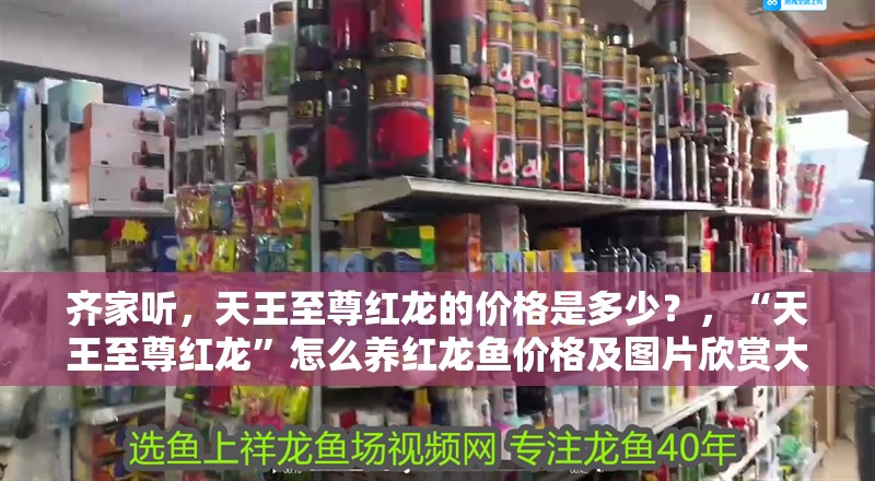齊家聽，天王至尊紅龍的價格是多少？，“天王至尊紅龍”怎么養紅龍魚價格及圖片欣賞大全