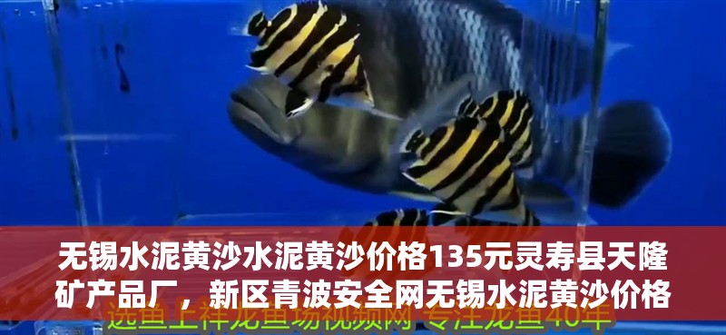 無錫水泥黃沙水泥黃沙價格135元靈壽縣天隆礦產(chǎn)品廠，新區(qū)青波安全網(wǎng)無錫水泥黃沙價格 無錫水泥黃沙水泥黃沙價格135元靈壽縣天隆礦產(chǎn)品廠，新區(qū)青波安全網(wǎng)無錫水泥黃沙價格 觀賞魚百科