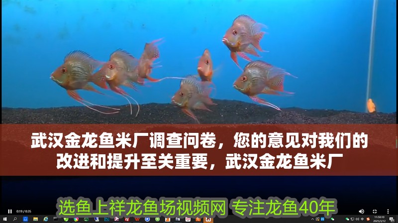 武漢金龍魚米廠調(diào)查問卷，您的意見對我們的改進和提升至關(guān)重要，武漢金龍魚米廠