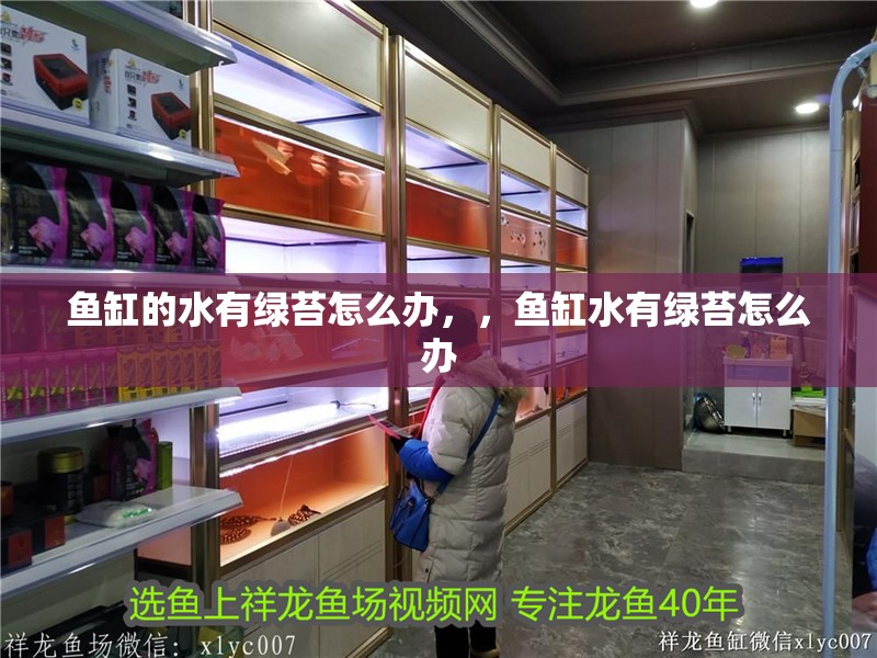 魚缸的水有綠苔怎么辦，，魚缸水有綠苔怎么辦