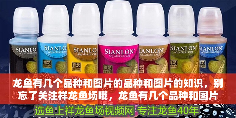 龍魚有幾個(gè)品種和圖片的品種和圖片的知識(shí)，別忘了關(guān)注祥龍魚場哦，龍魚有幾個(gè)品種和圖片
