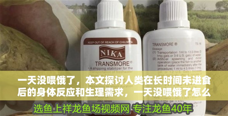 一天沒喂餓了，本文探討人類在長時間未進食后的身體反應和生理需求，一天沒喂餓了怎么辦