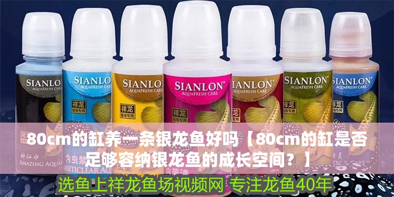 80cm的缸養(yǎng)一條銀龍魚好嗎【80cm的缸是否足夠容納銀龍魚的成長(zhǎng)空間？】
