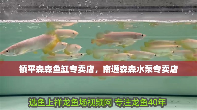 鎮平森森魚缸專賣店，南通森森水泵專賣店