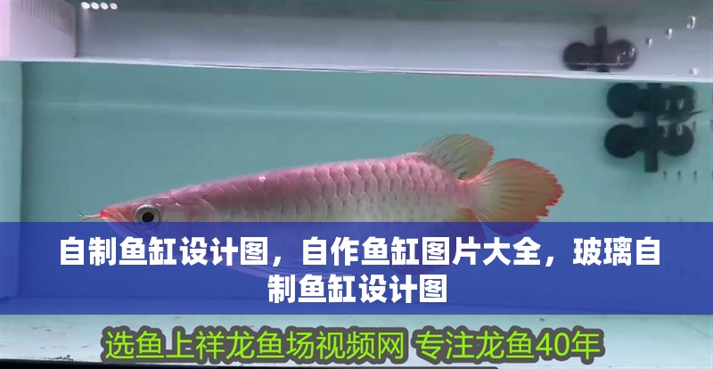 自制魚缸設計圖，自作魚缸圖片大全，玻璃自制魚缸設計圖
