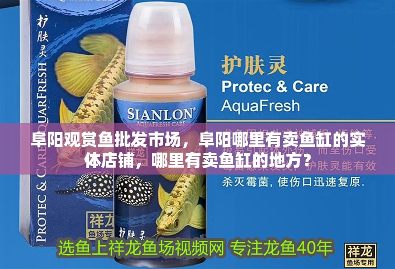 阜陽觀賞魚批發(fā)市場，阜陽哪里有賣魚缸的實體店鋪，哪里有賣魚缸的地方？