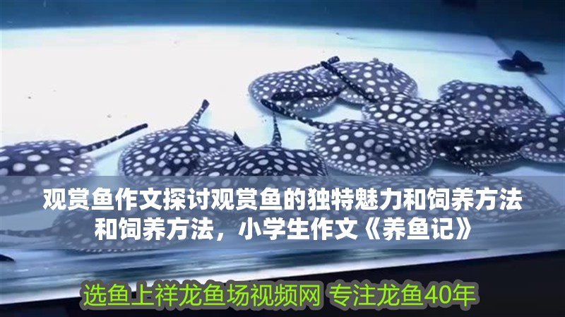 觀賞魚作文探討觀賞魚的獨特魅力和飼養方法和飼養方法，小學生作文《養魚記》